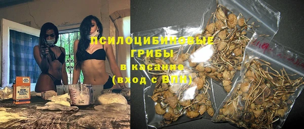 ешки Арсеньев