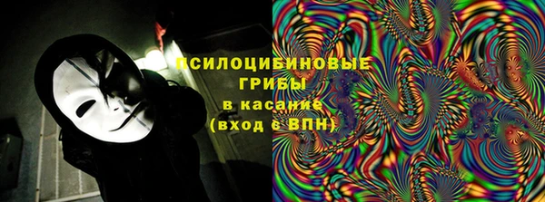 кокс Алексин