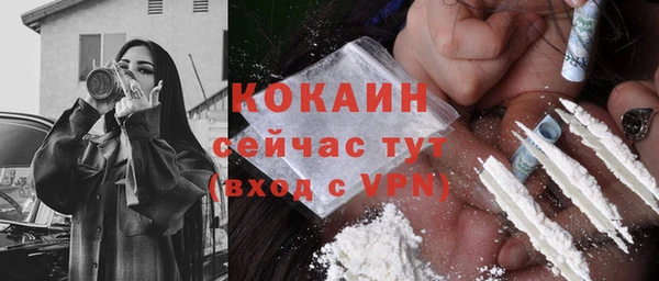 ешки Арсеньев
