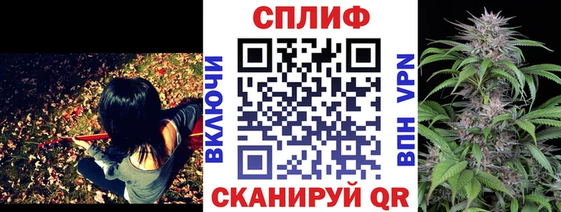 закладка  Мытищи  Канабис SATIVA & INDICA 